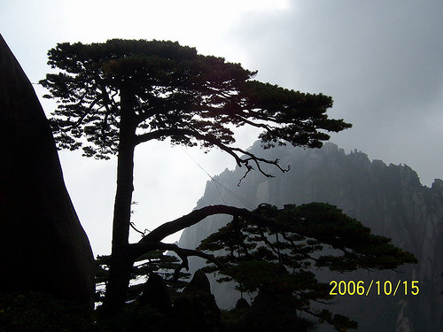 huangshan19.jpg