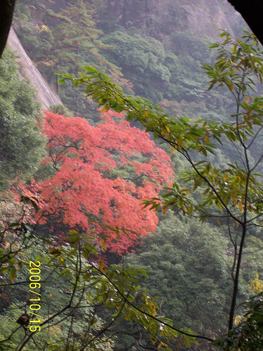 huangshan20.jpg