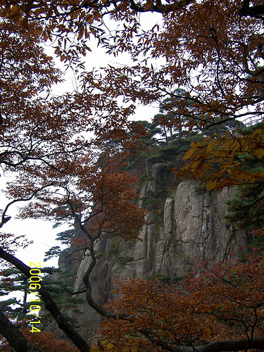 huangshan7.jpg